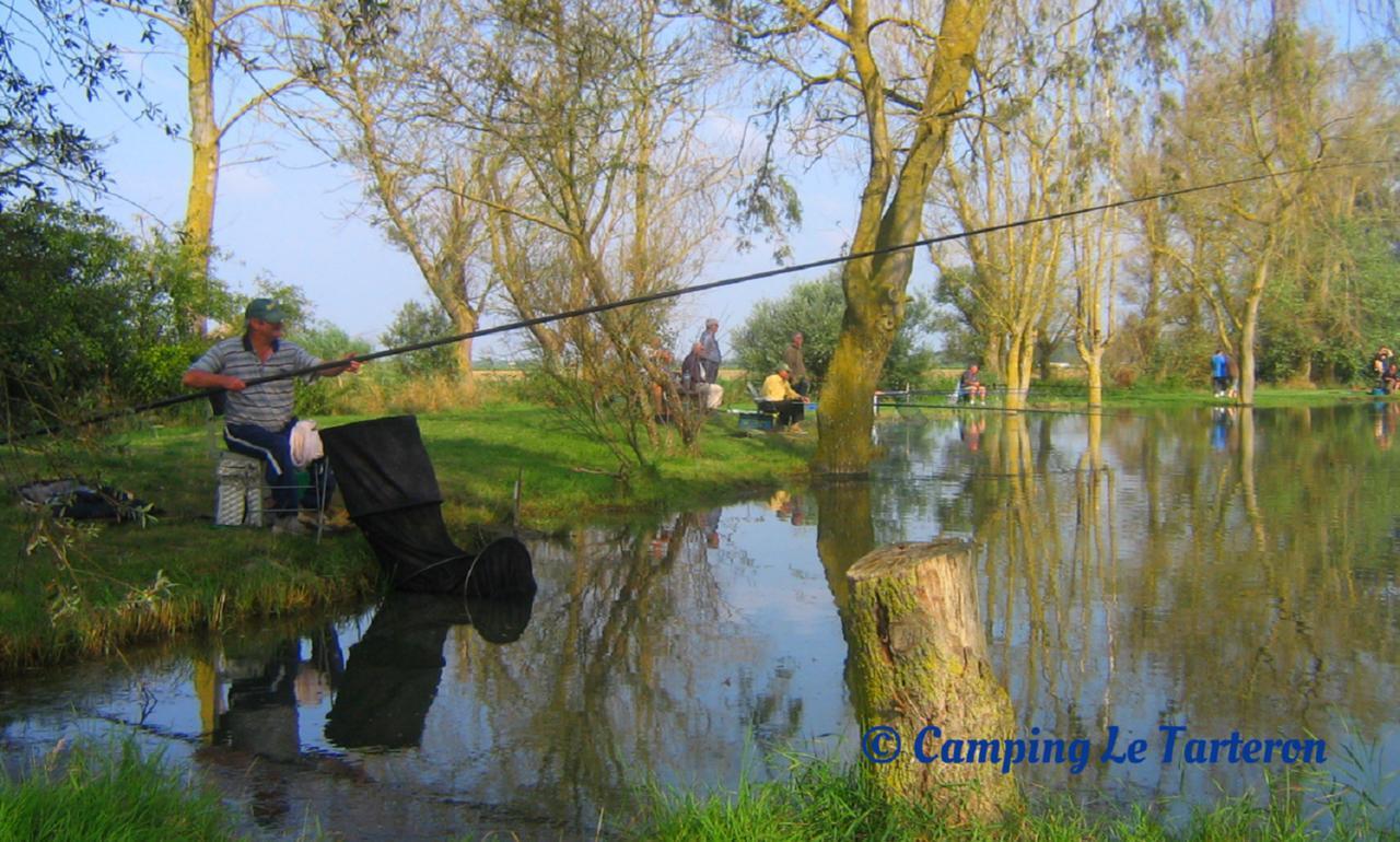 Le Tarteron Camping
